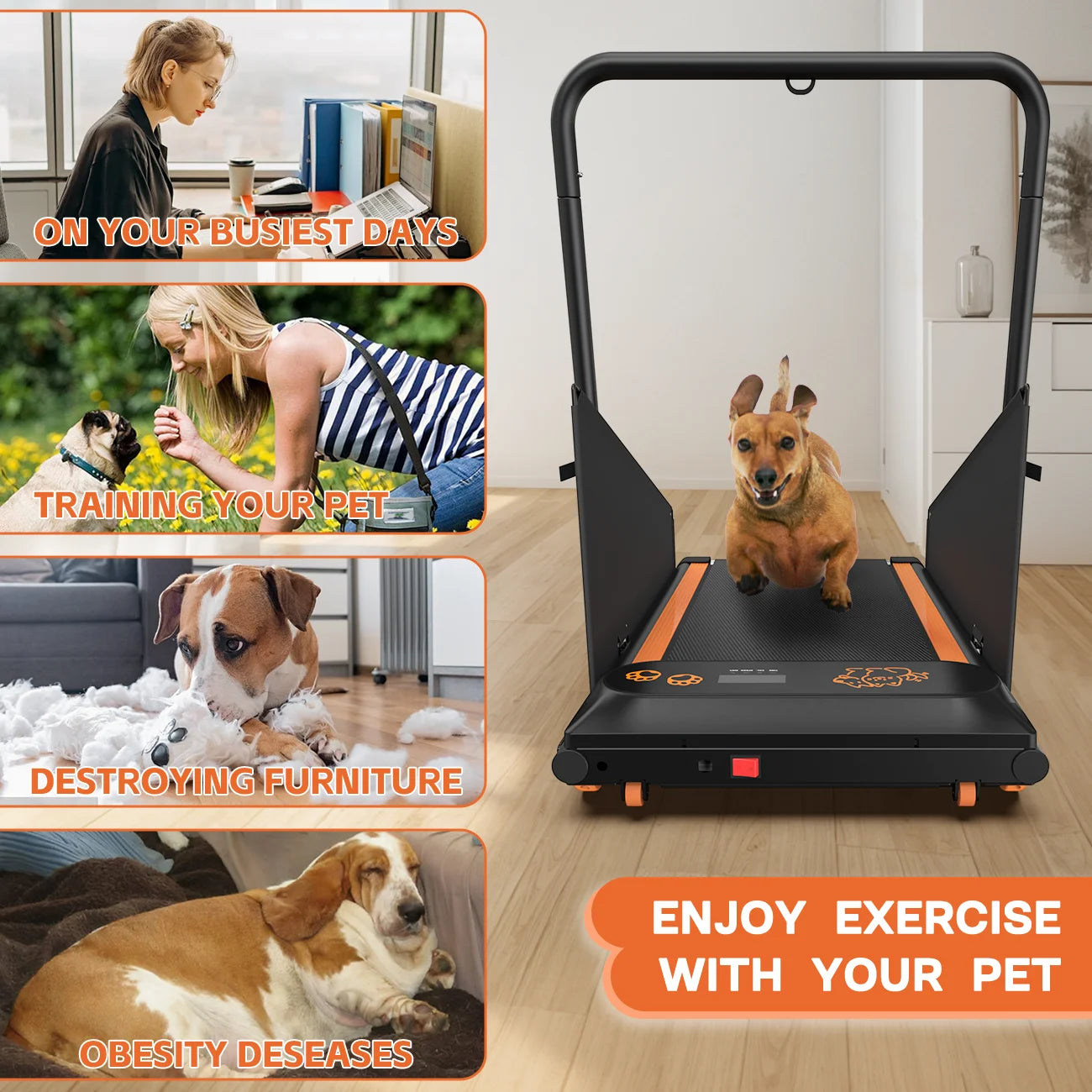 Pet Dog Treadmill Portable Exercise Treadmill Running Machine for Small and Medium Dog Breeds